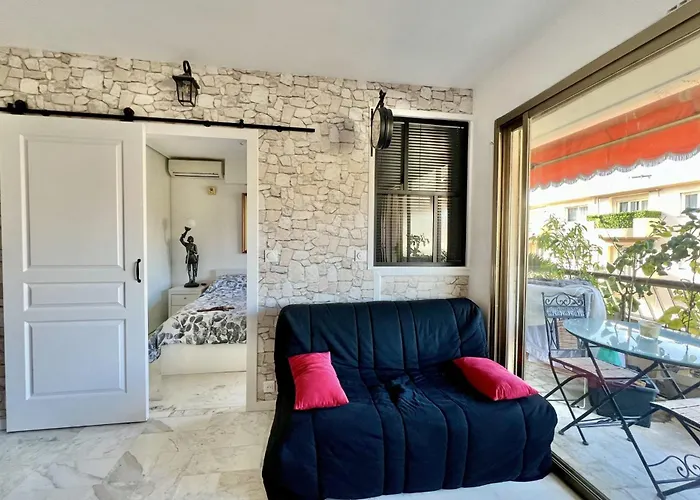 Bright 31m2 Flowered Terrace Near Croisette Appartement